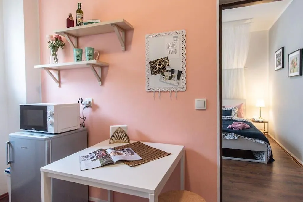 Vintage Dream Studio Near The Center Of Brno Czech Republic